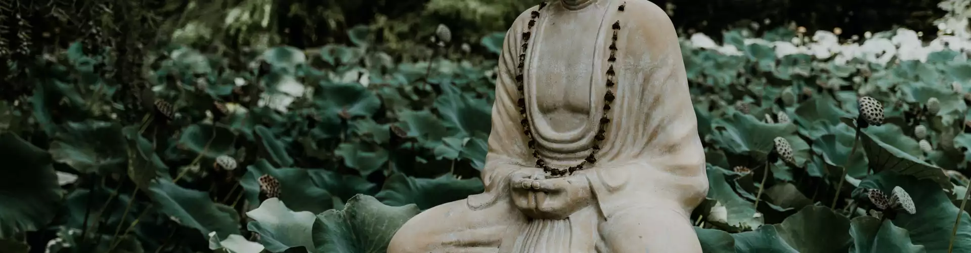 Круг пения Будды Медицины